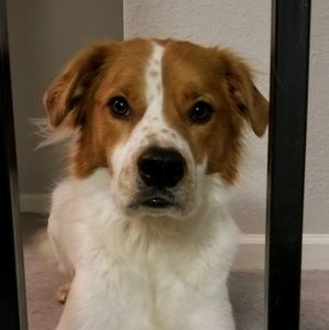 Meet your Posher, Caleb